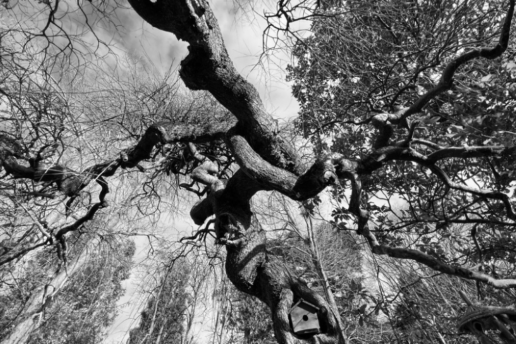 1.Interlacings_2023_Aude_France © Muriel Penicaud