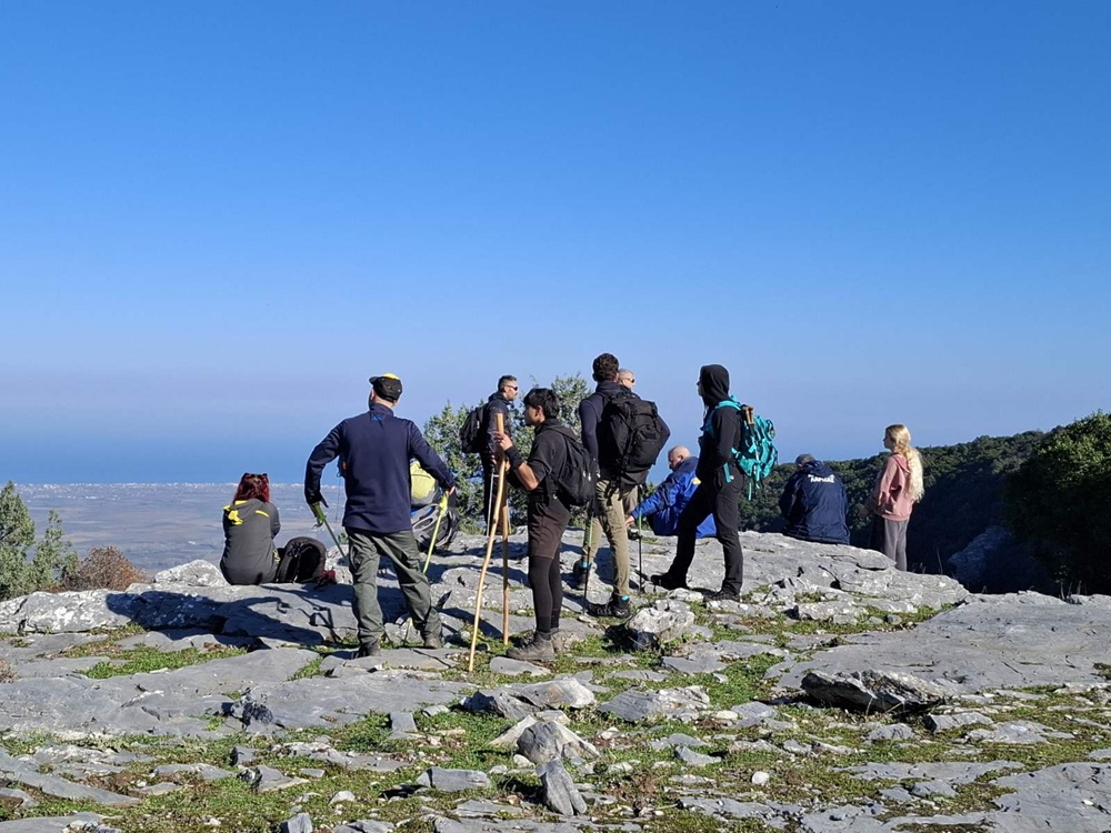 2025-12-17_08-38-13-816