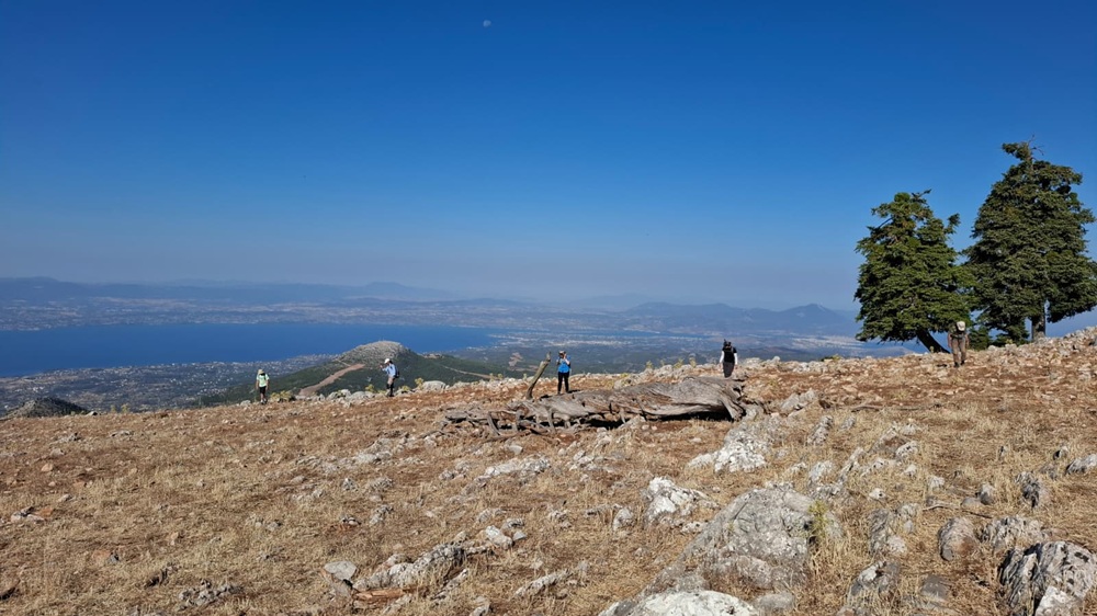 Επιφανειακή έρευνα στην κορυφή του Ευβοϊκού Ολύμπου