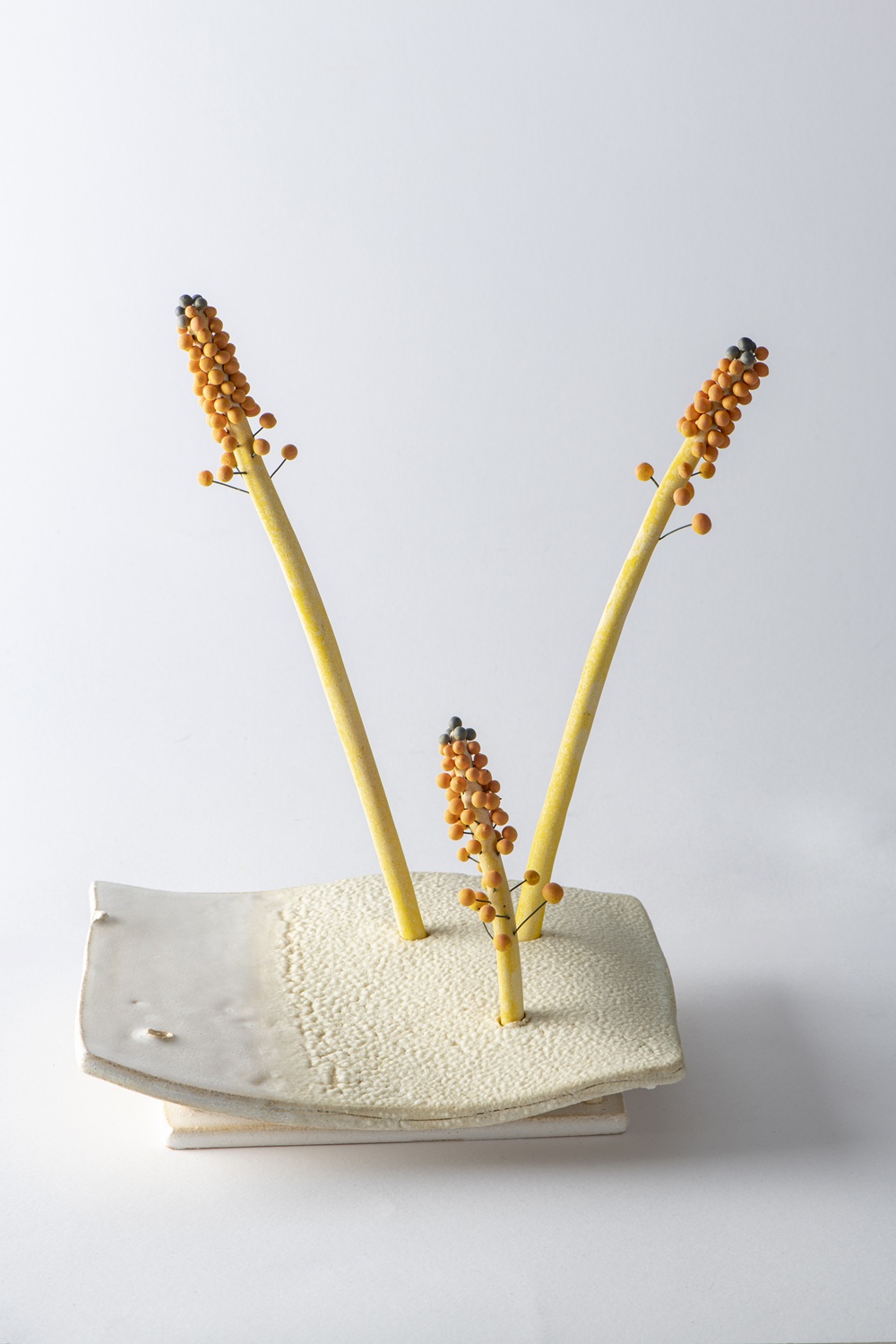 CHRYSANTHE_LIBEREOU SPANOS_MNS4267