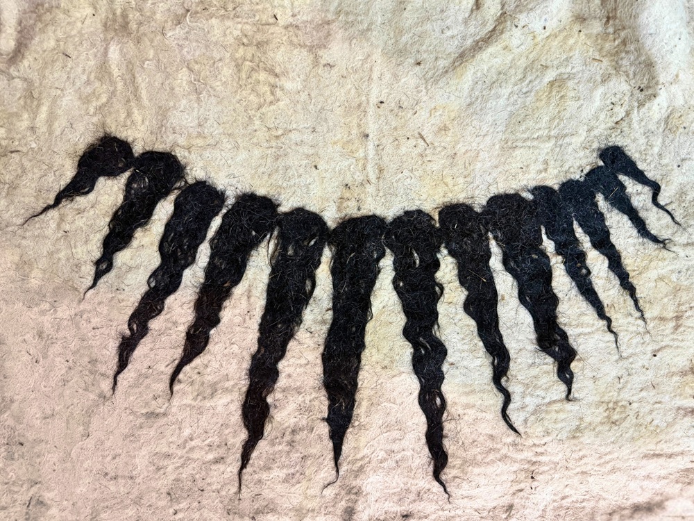 9. Shekine Naidi, Fall, 2026, Keçe out of white sheep wool collected from Vlasti, Kozani and black wool collected from Lesvos island. Courtesy of the artist
